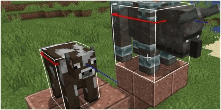 Howe Enable HitBoxes in Minecraft