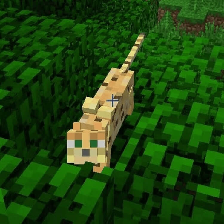 How to Tame a Cat in Minecraft