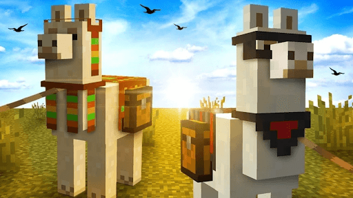 How to Tame a Llama in Minecraft