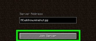 How to Enter The Server in Minecraft
